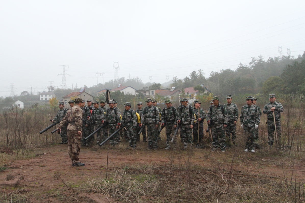 �����򣺾ٰ�2015�����ɭ�ַ���Ӧ���ֶӼ�ѵ